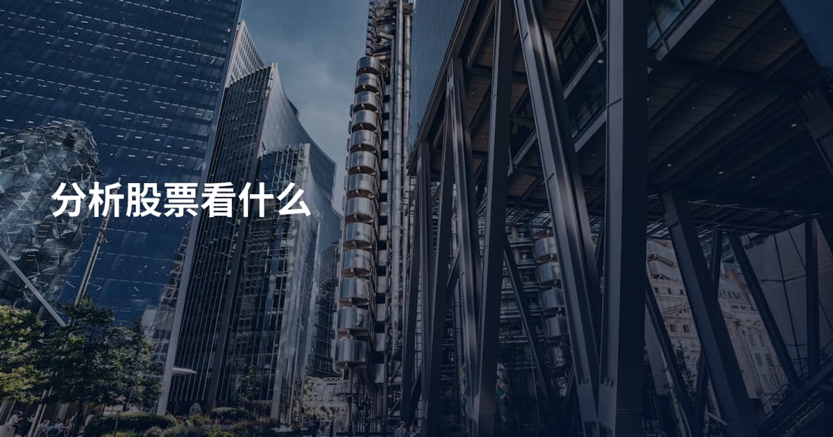 分析股票看什么