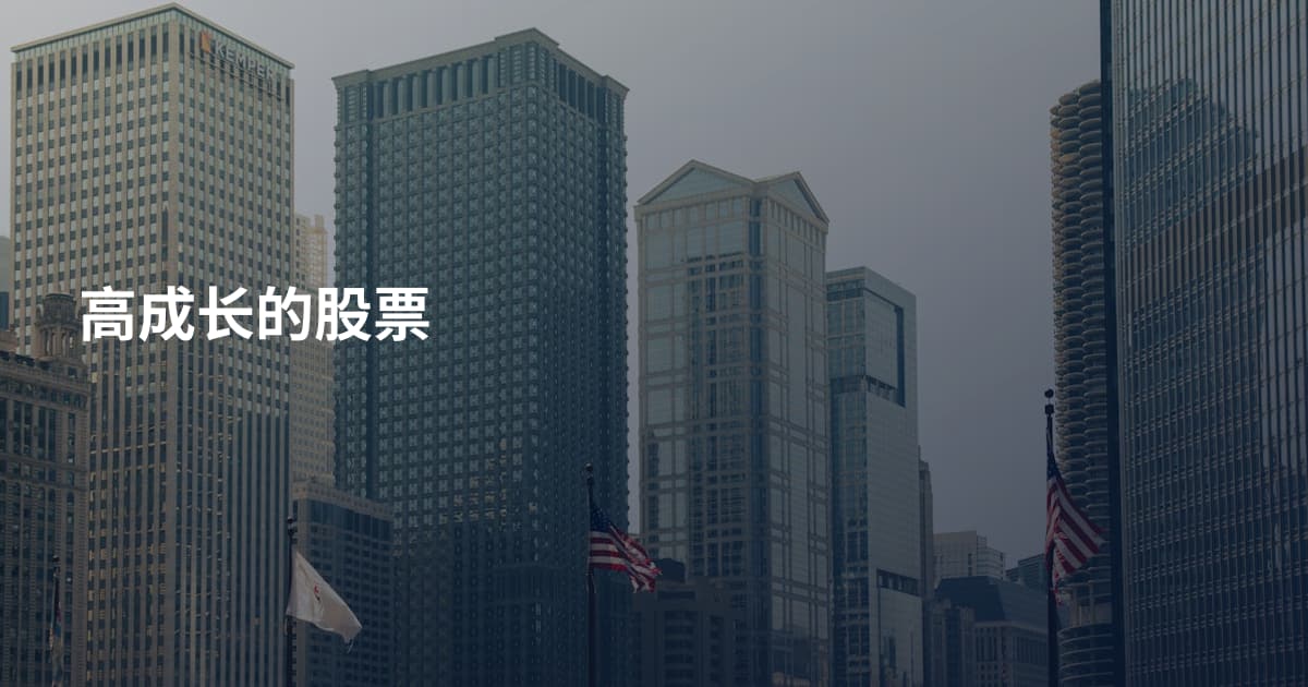 高成长的股票