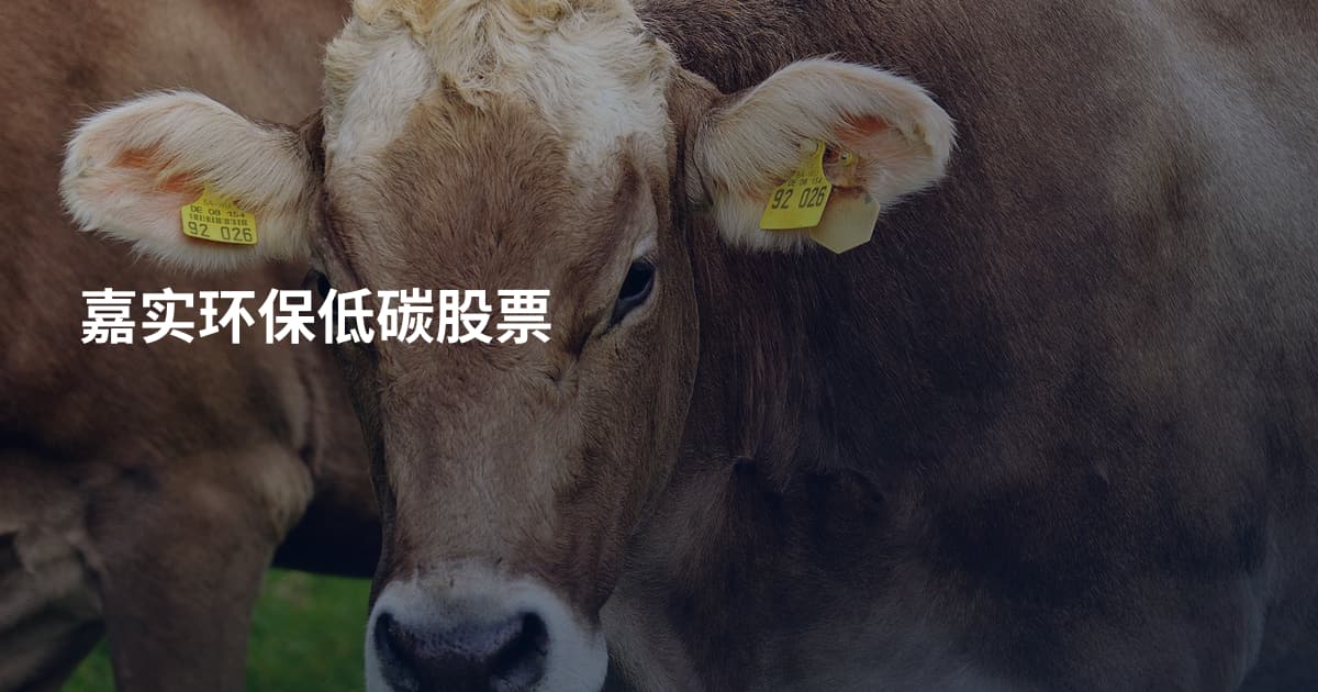 嘉实环保低碳股票