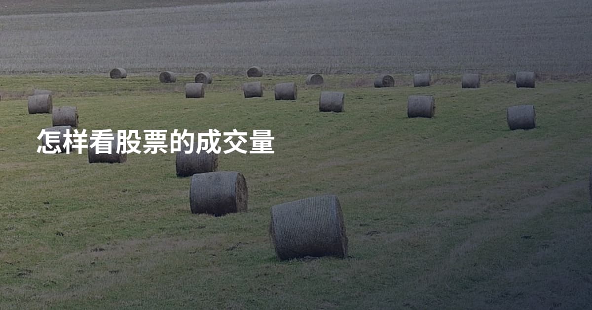 怎样看股票的成交量