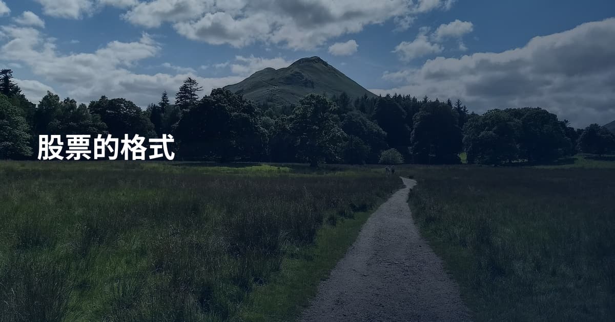 股票的格式