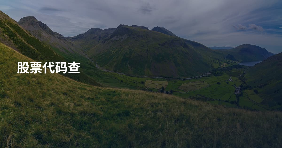 股票代码查