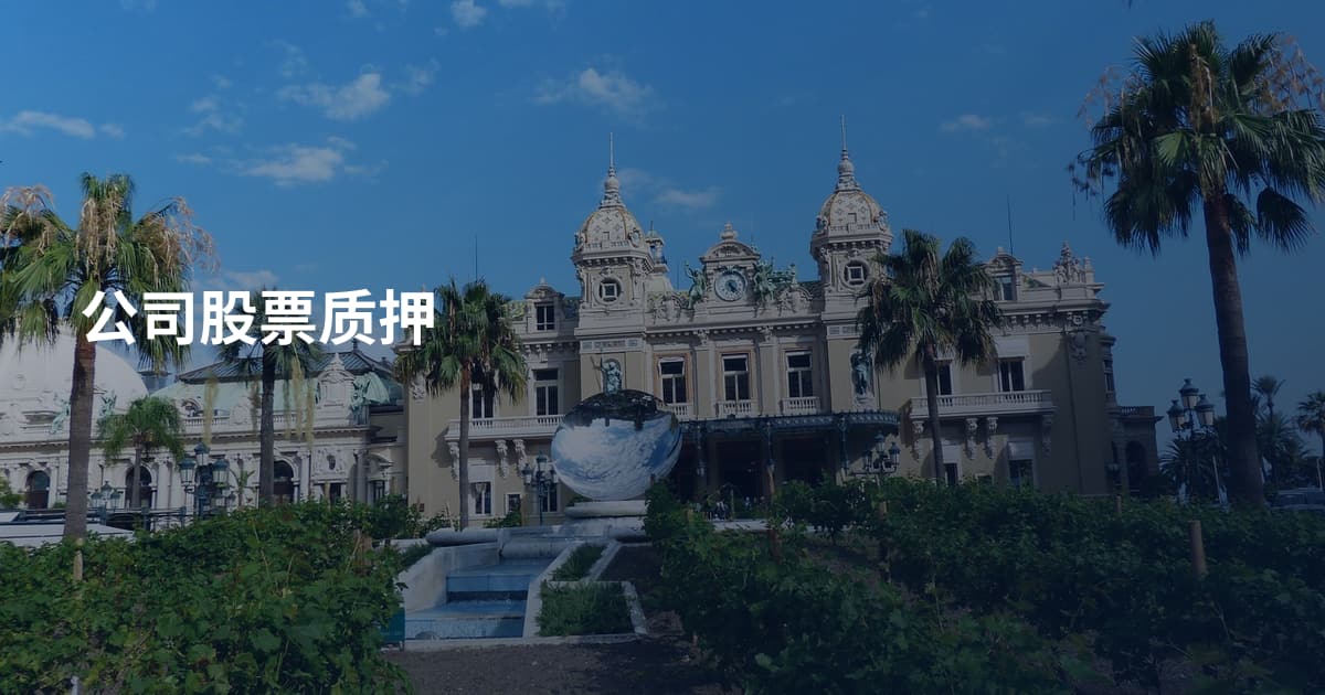 公司股票质押
