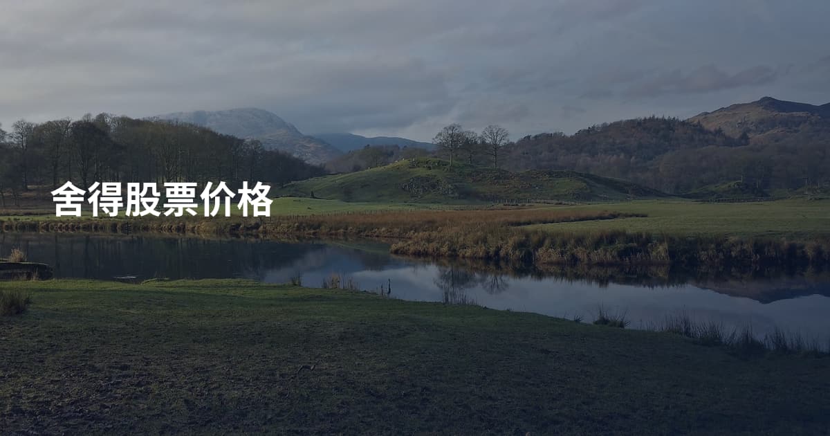 舍得股票价格