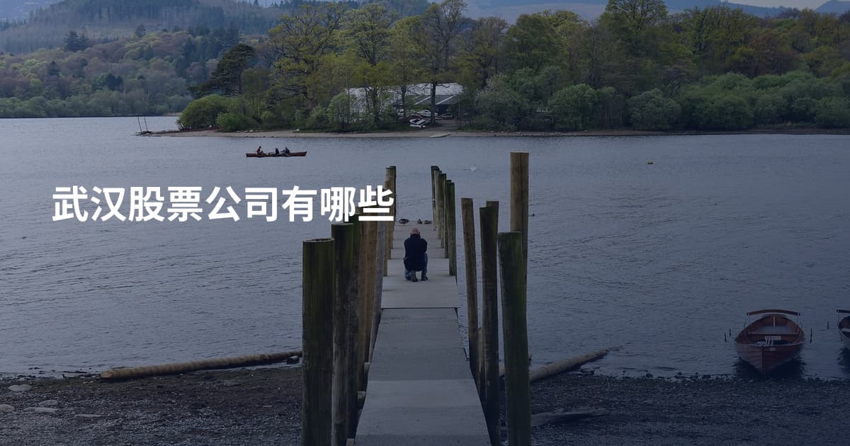 武汉股票公司有哪些