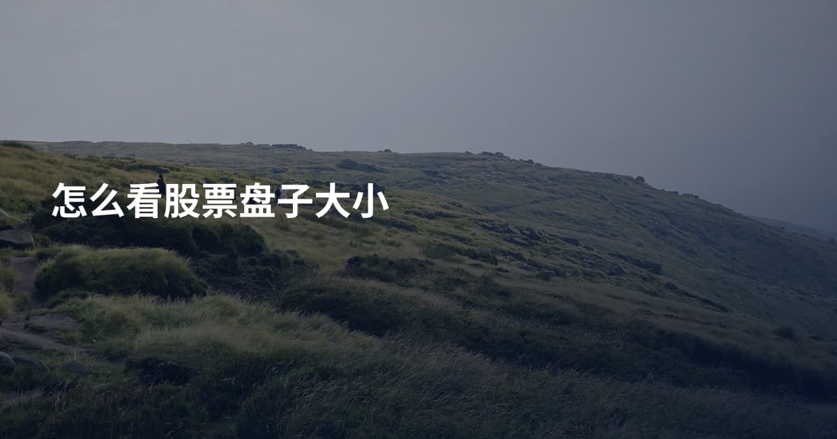 怎么看股票盘子大小