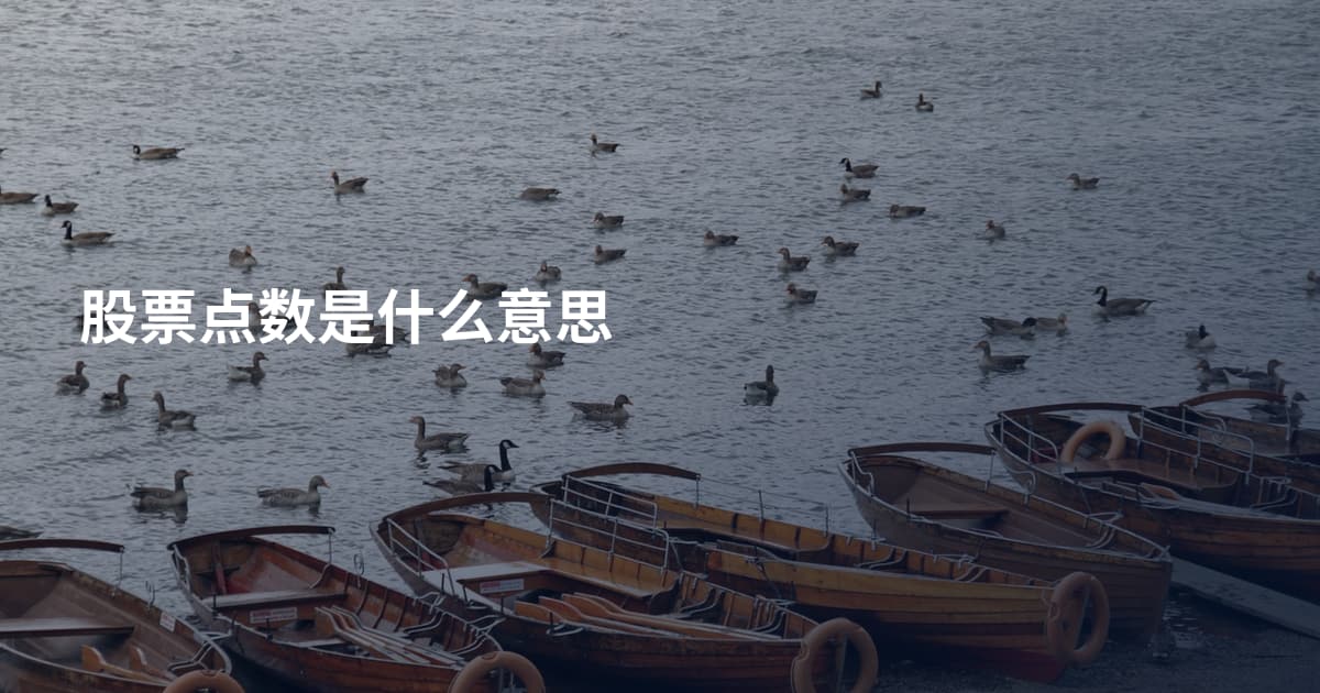 股票点数是什么意思