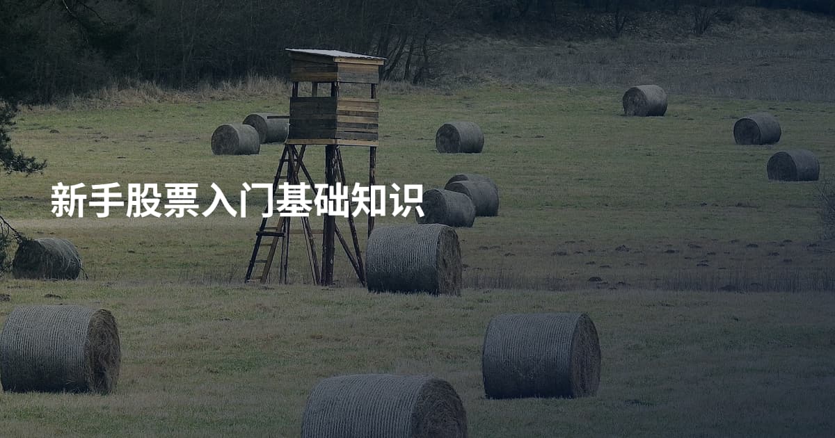 新手股票入门基础知识
