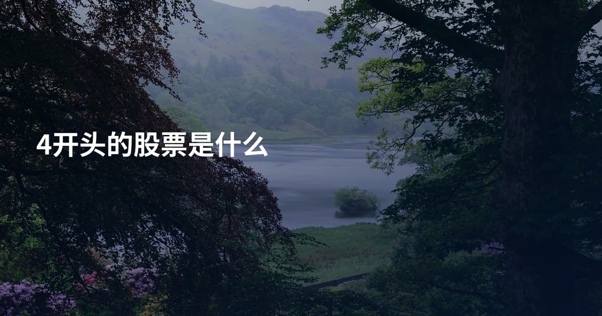 4开头的股票是什么
