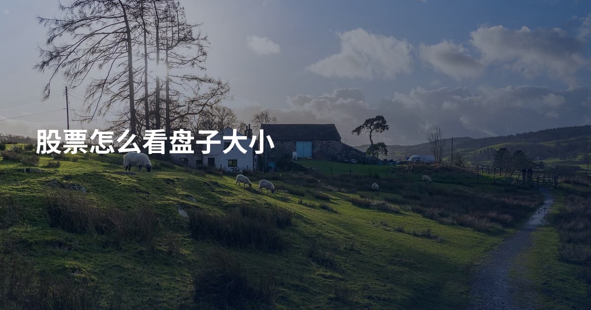 股票怎么看盘子大小