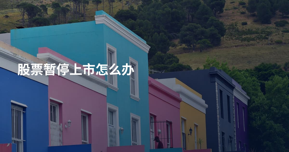 股票暂停上市怎么办