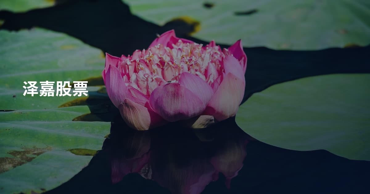 泽嘉股票