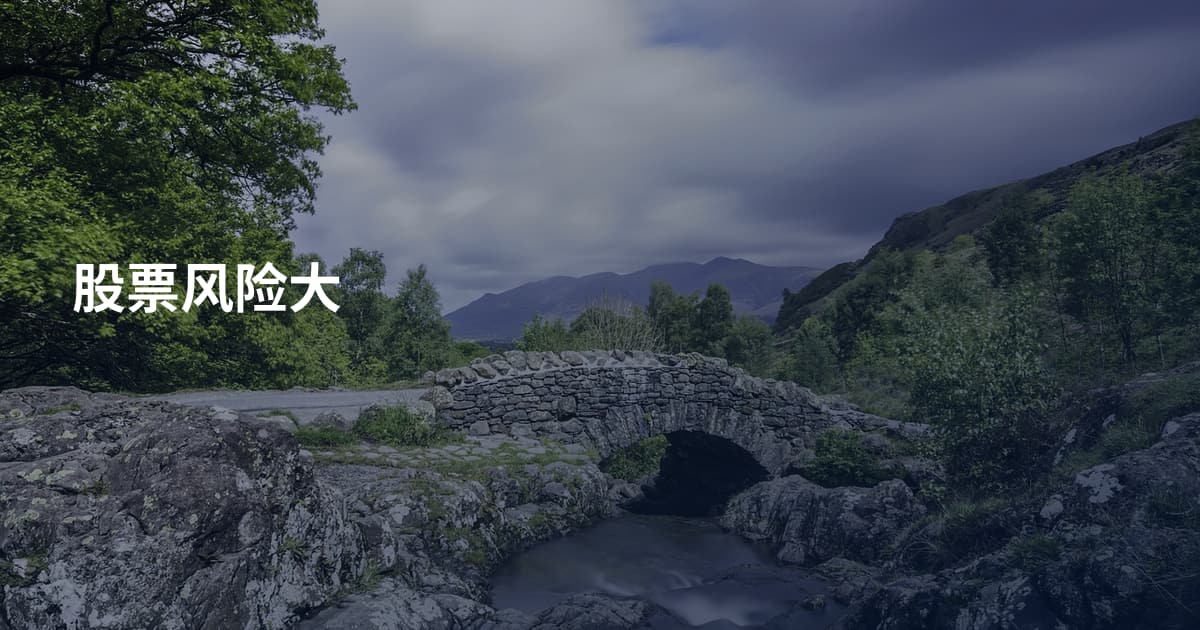 股票风险大