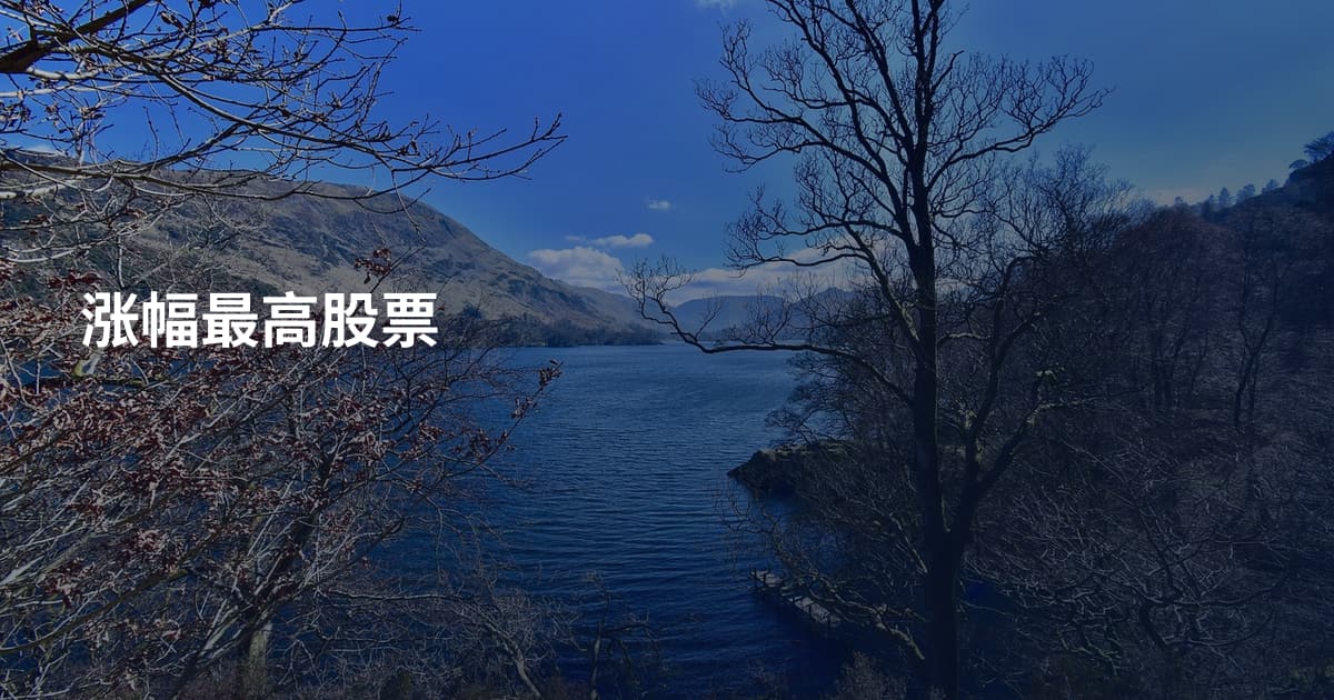 涨幅最高股票