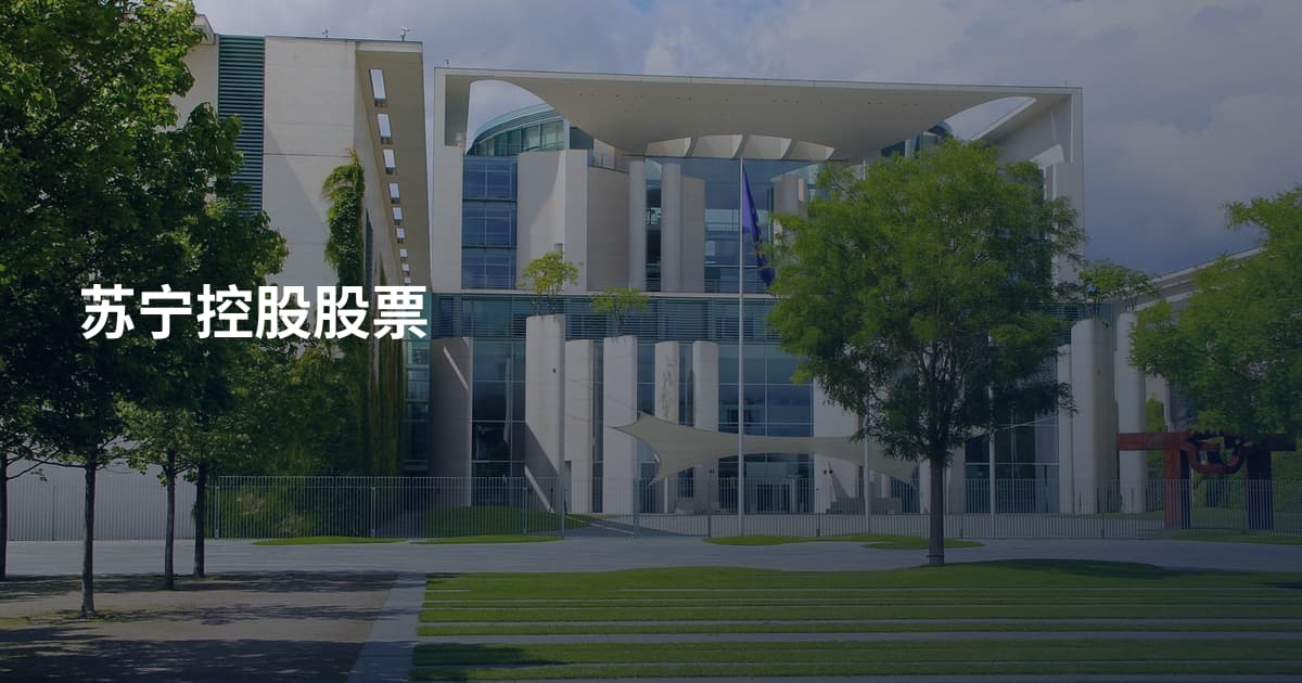 苏宁控股股票