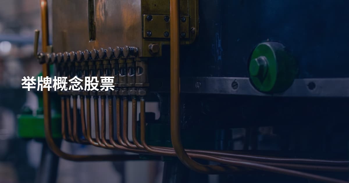 举牌概念股票