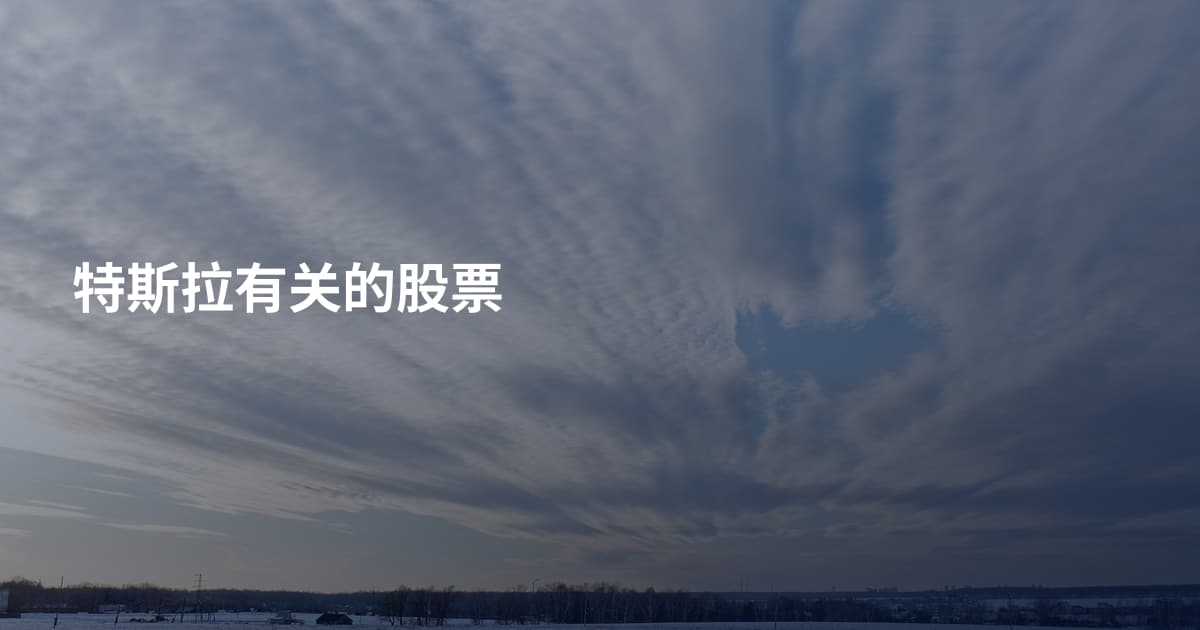 特斯拉有关的股票