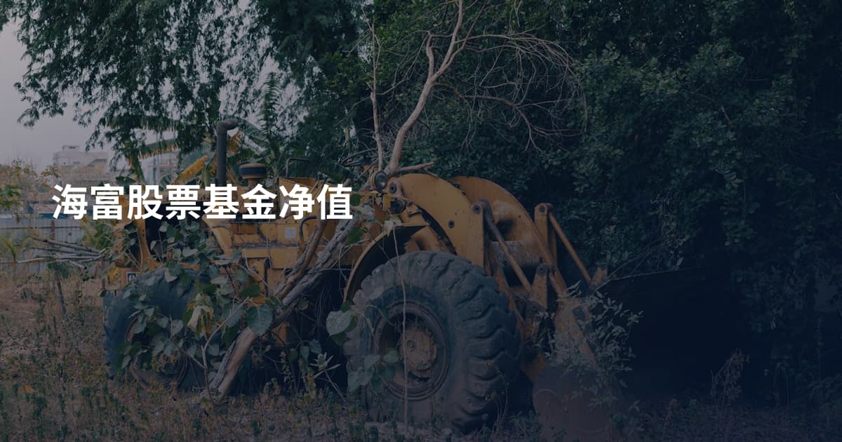 海富股票基金净值