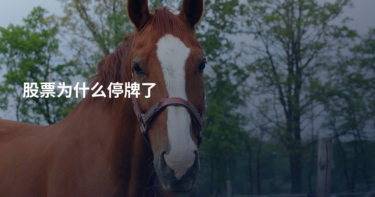 股票为什么停牌了