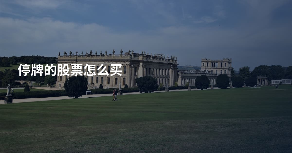 停牌的股票怎么买