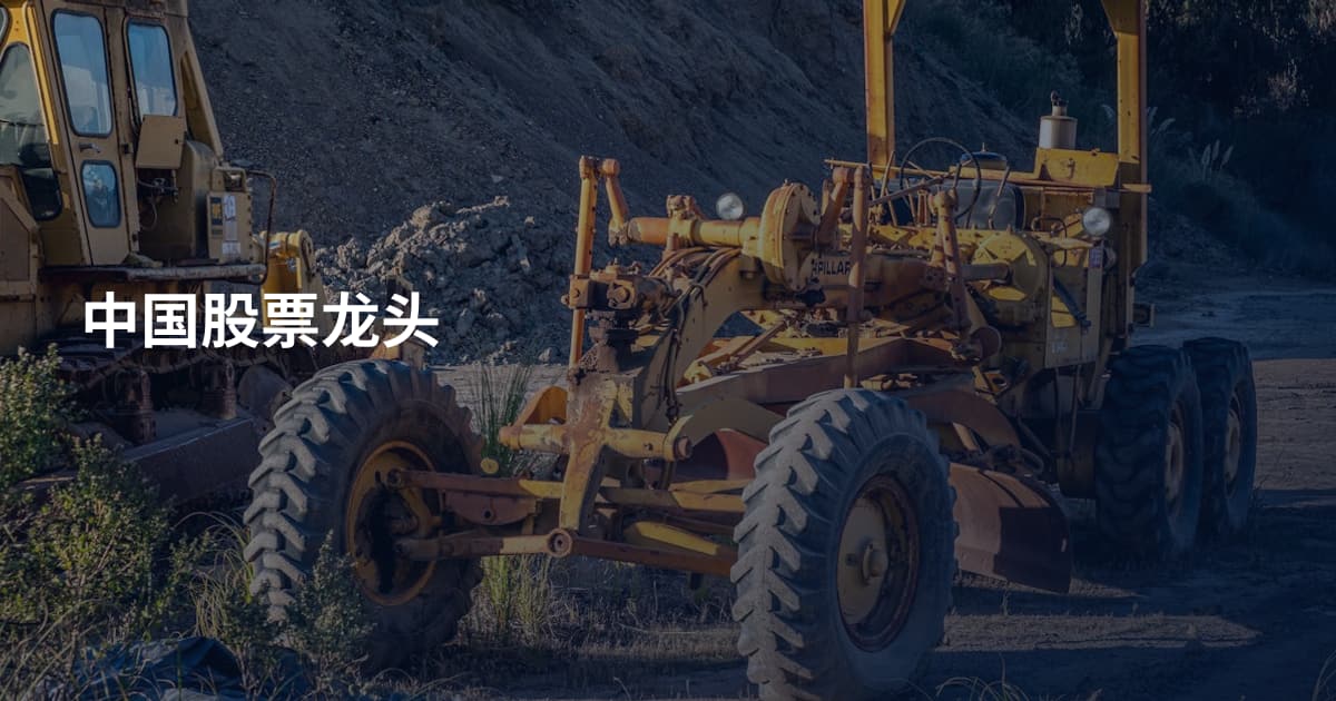 中国股票龙头