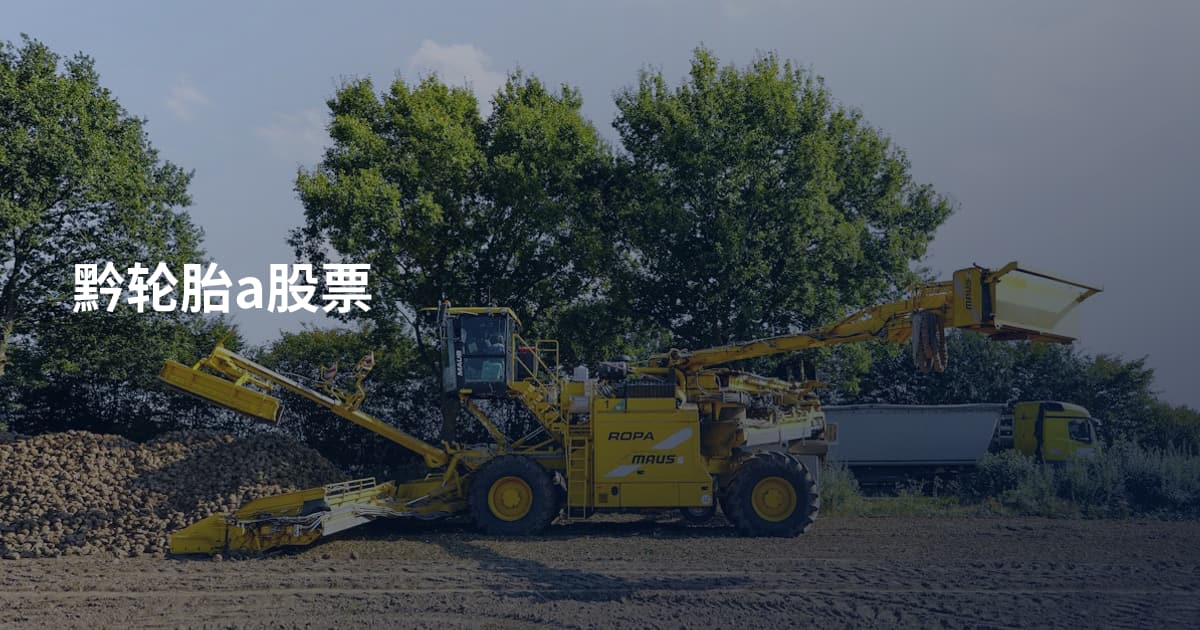 黔轮胎a股票