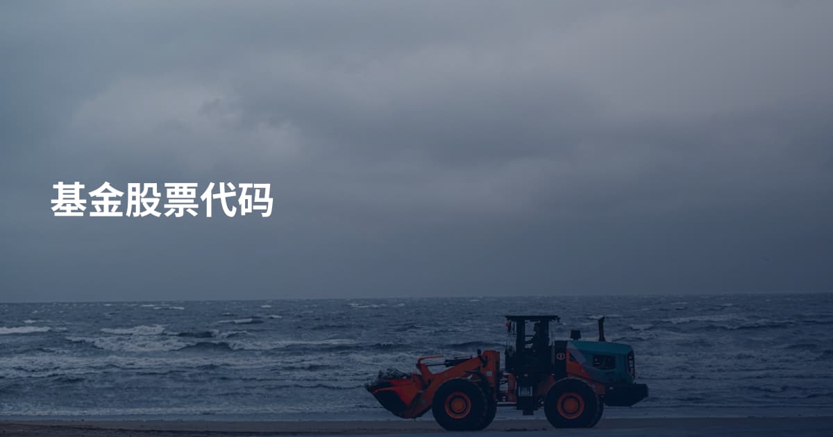 基金股票代码