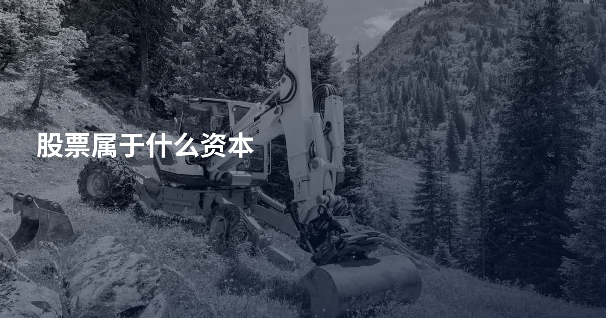 股票属于什么资本