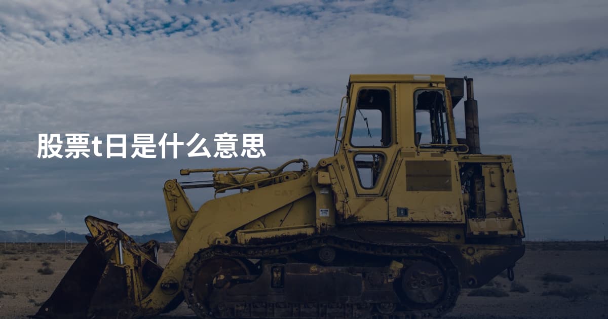 股票t日是什么意思