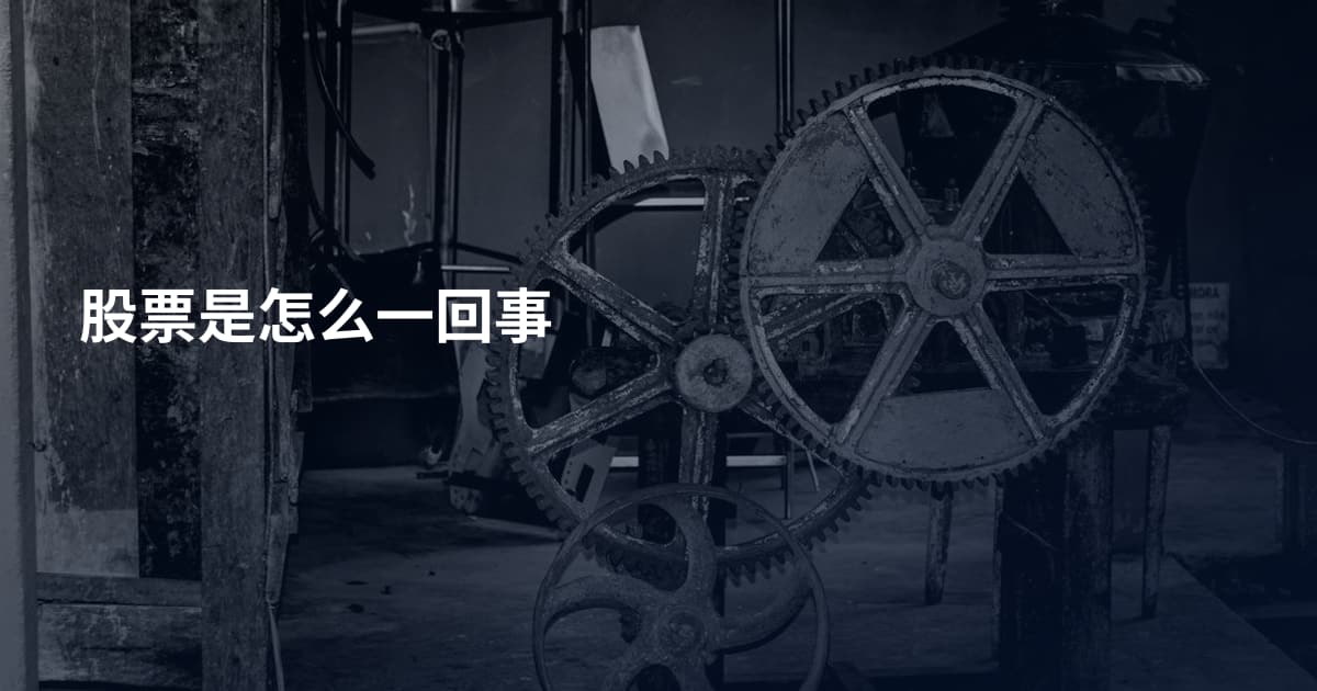 股票是怎么一回事