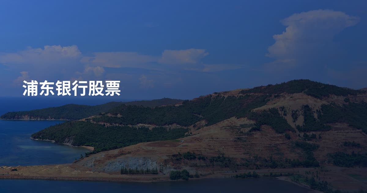 浦东银行股票