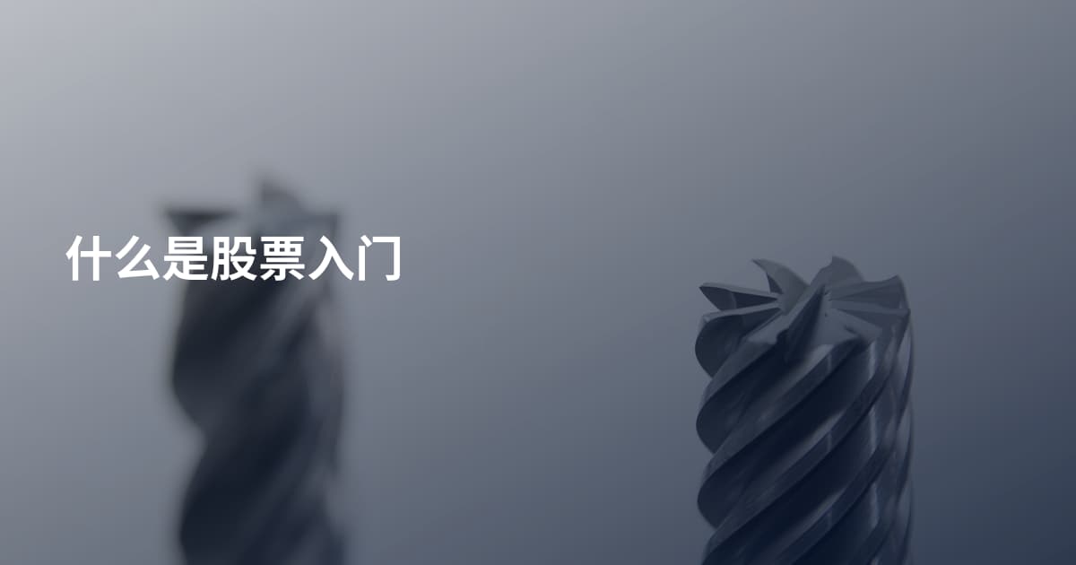 什么是股票入门