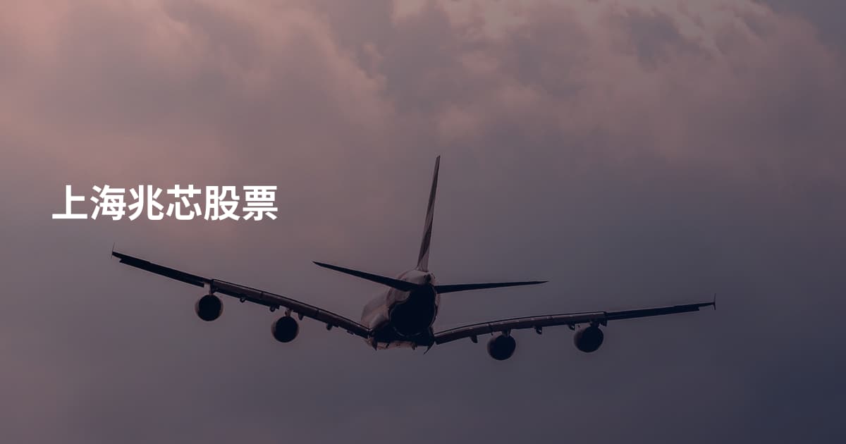 上海兆芯股票