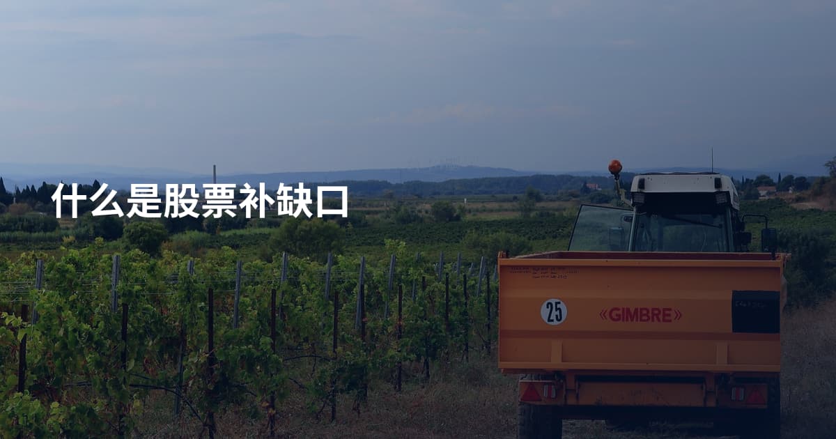 什么是股票补缺口