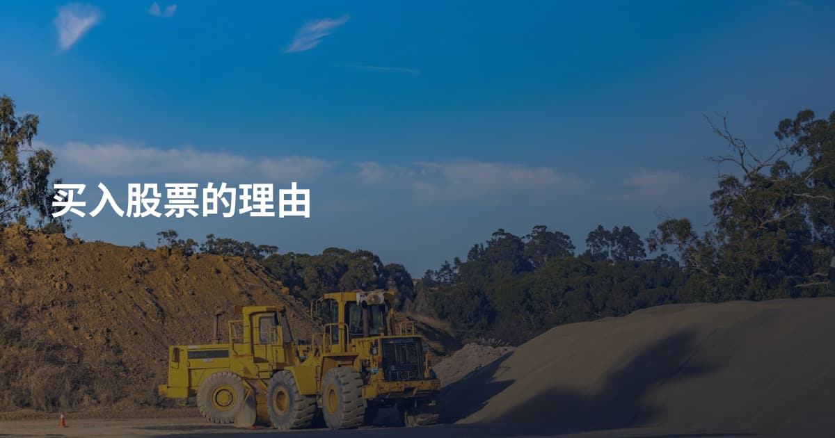 买入股票的理由