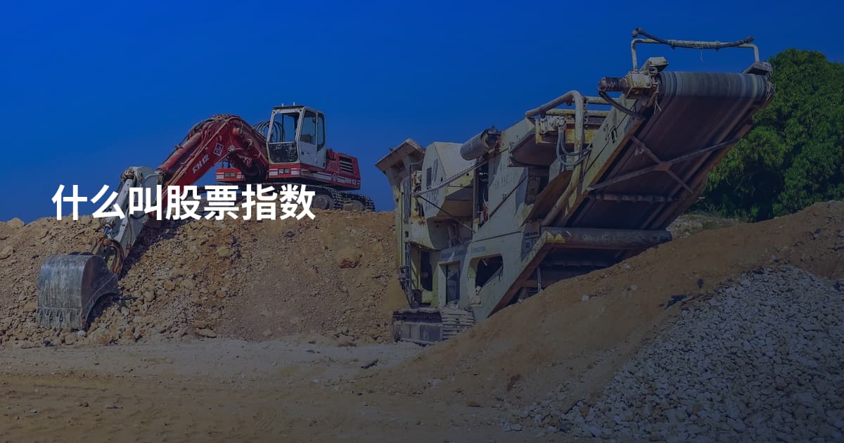 什么叫股票指数