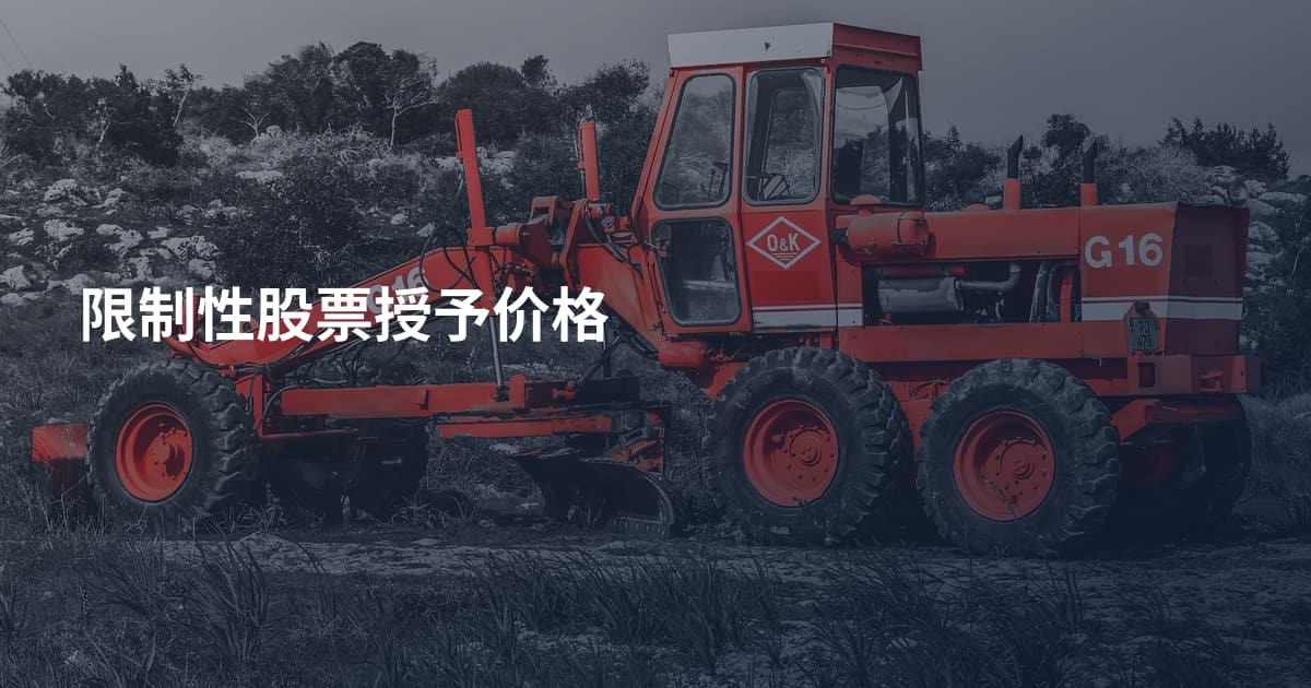 限制性股票授予价格