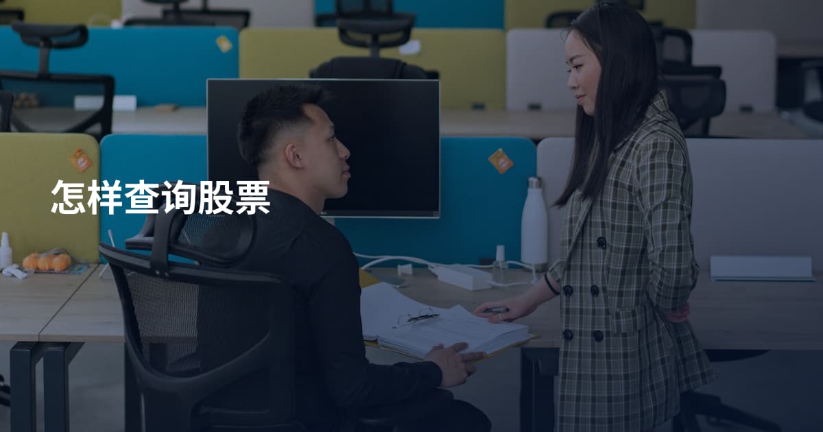 怎样查询股票