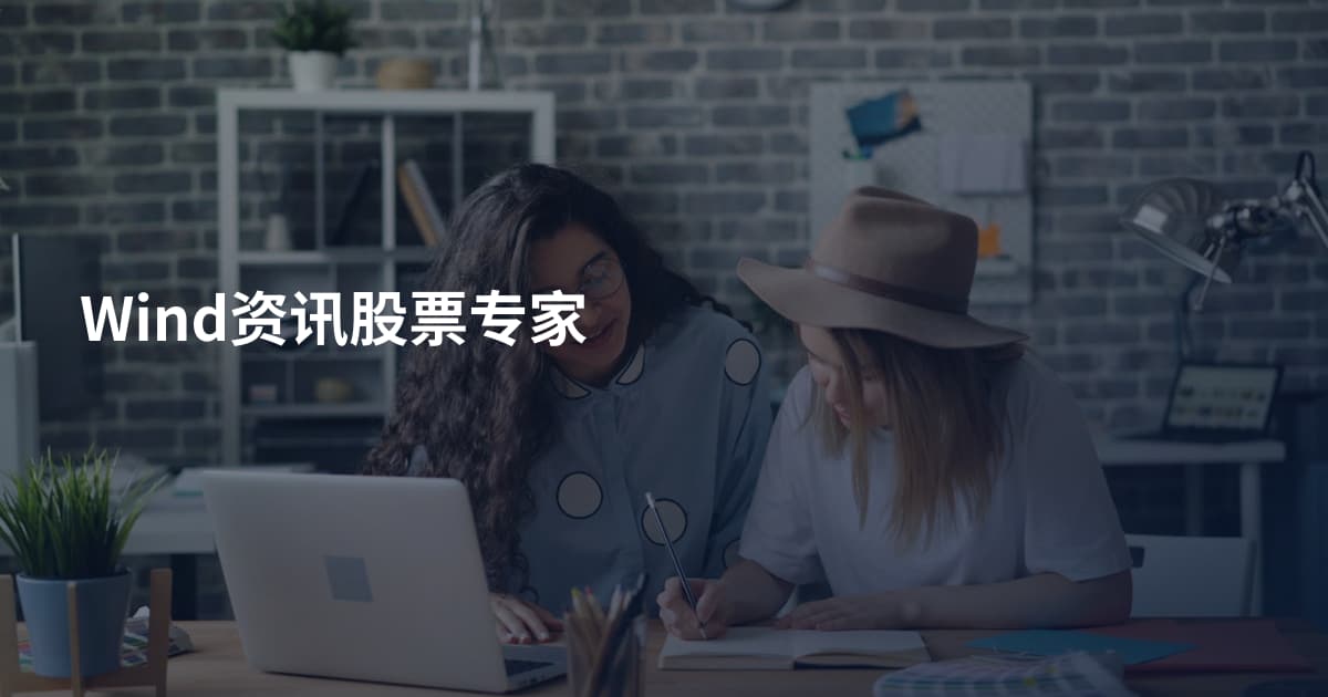 Wind资讯股票专家
