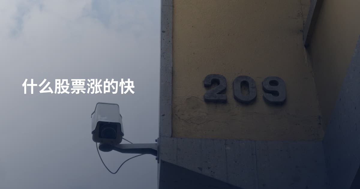 什么股票涨的快