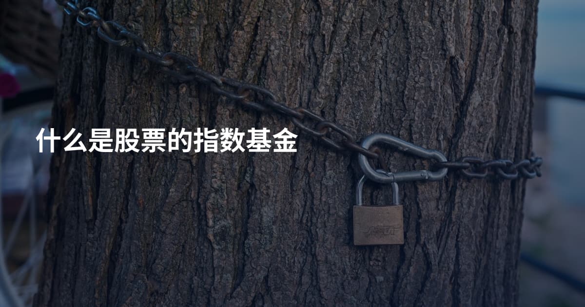 什么是股票的指数基金