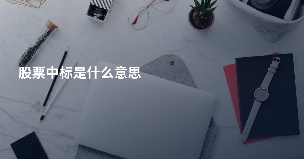 股票中标是什么意思