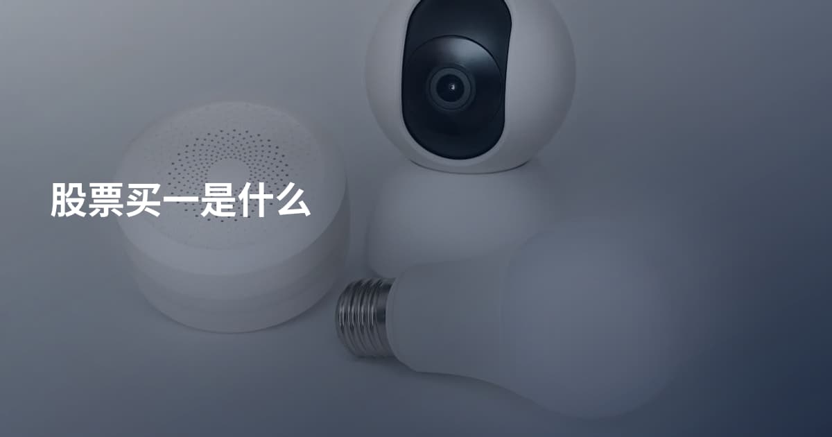 股票买一是什么
