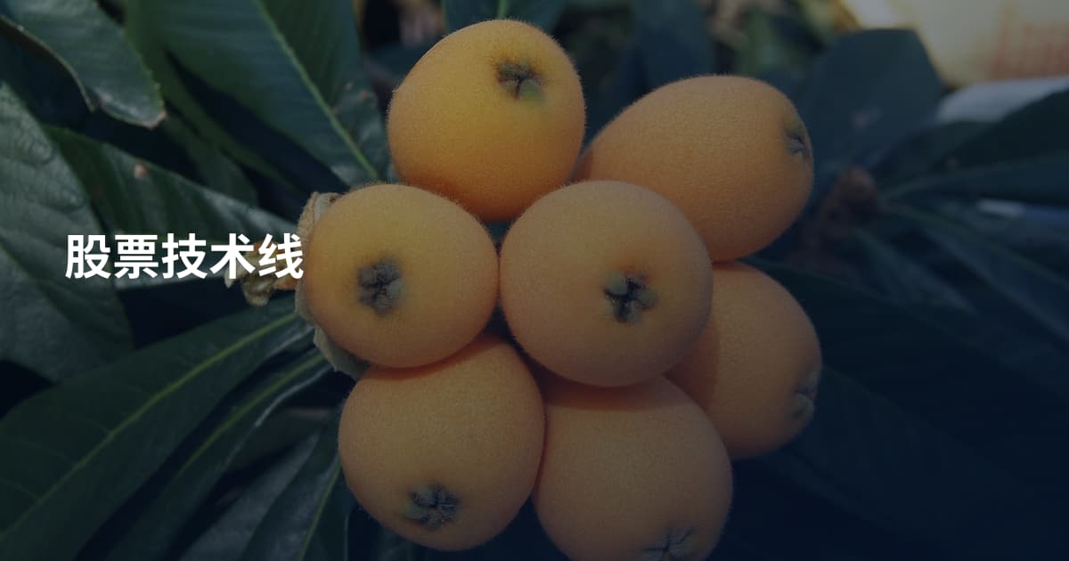 股票技术线