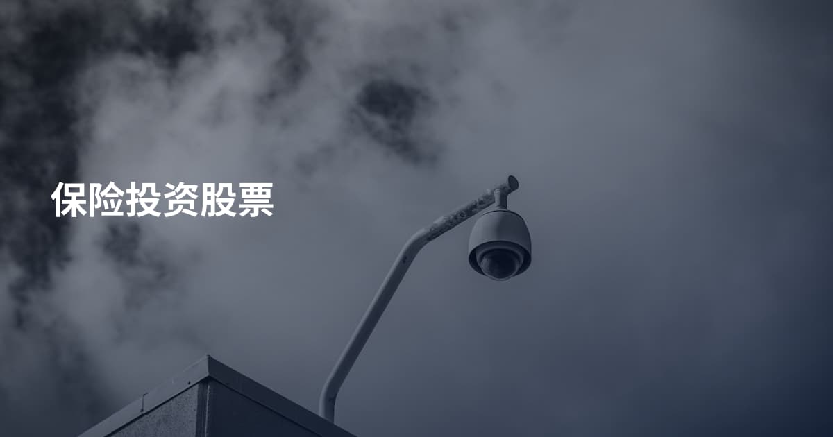 保险投资股票