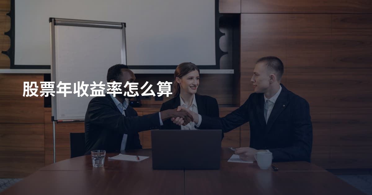 股票年收益率怎么算