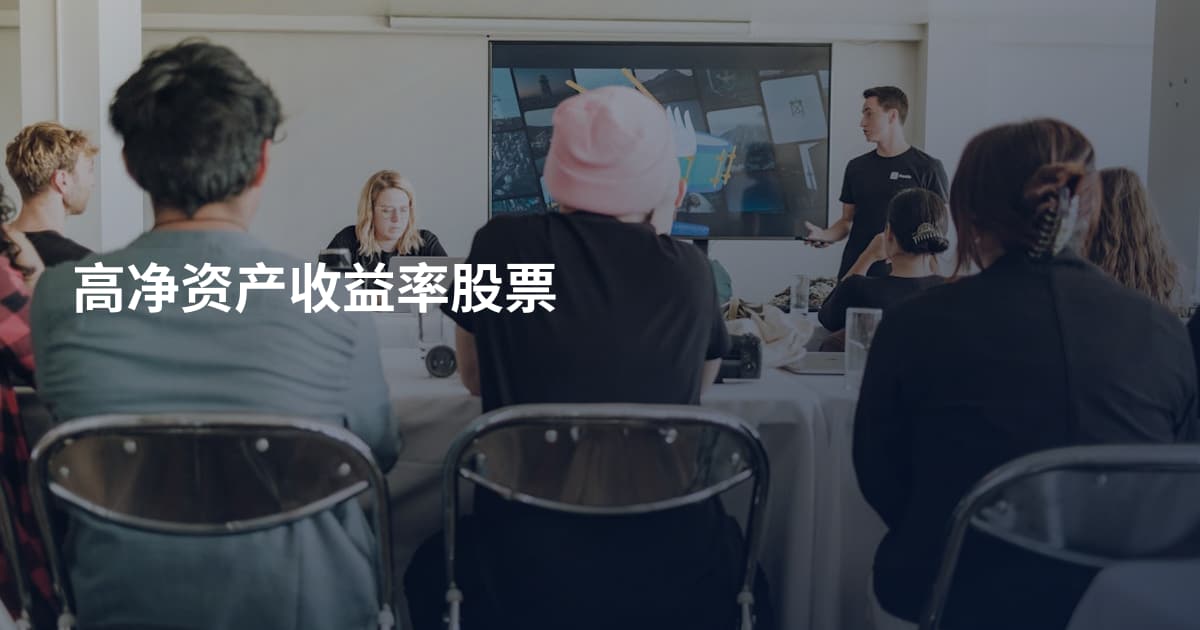 高净资产收益率股票