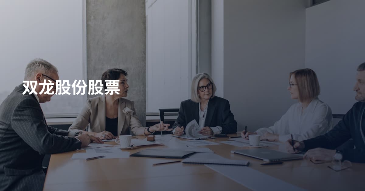 双龙股份股票