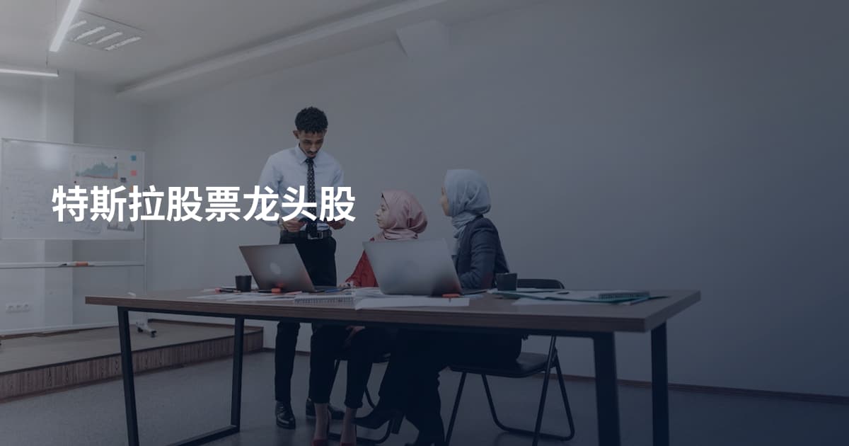 特斯拉股票龙头股