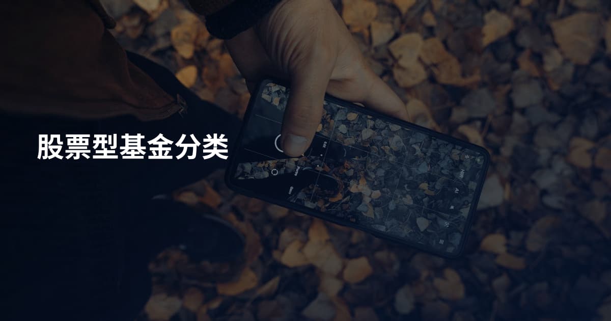 股票型基金分类